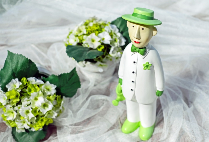 boutique-VILLENEUVE D ENTRAUNES-min_man-person-flower-green-toy-fig-546529-pxhere.com